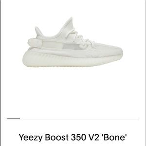 Yeezy boost 350